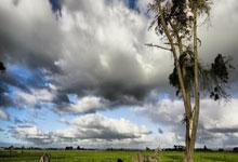 开云体育下载:中国男篮传奇球星王治郅入选国际篮联名人堂