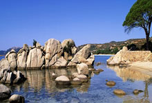 开云体育下载:陈明伶加盟墨尔本老虎队 将携手杨舒予征战NBL1南区联赛